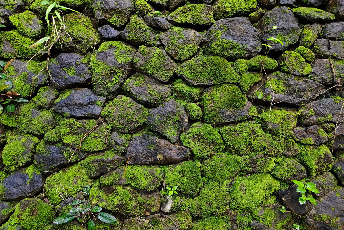shutterstock_@-Paullawat_1178x787px-2247677225_komprimiert