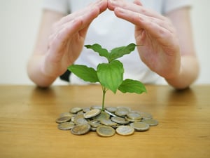 money-back-up-4518407 800x601px